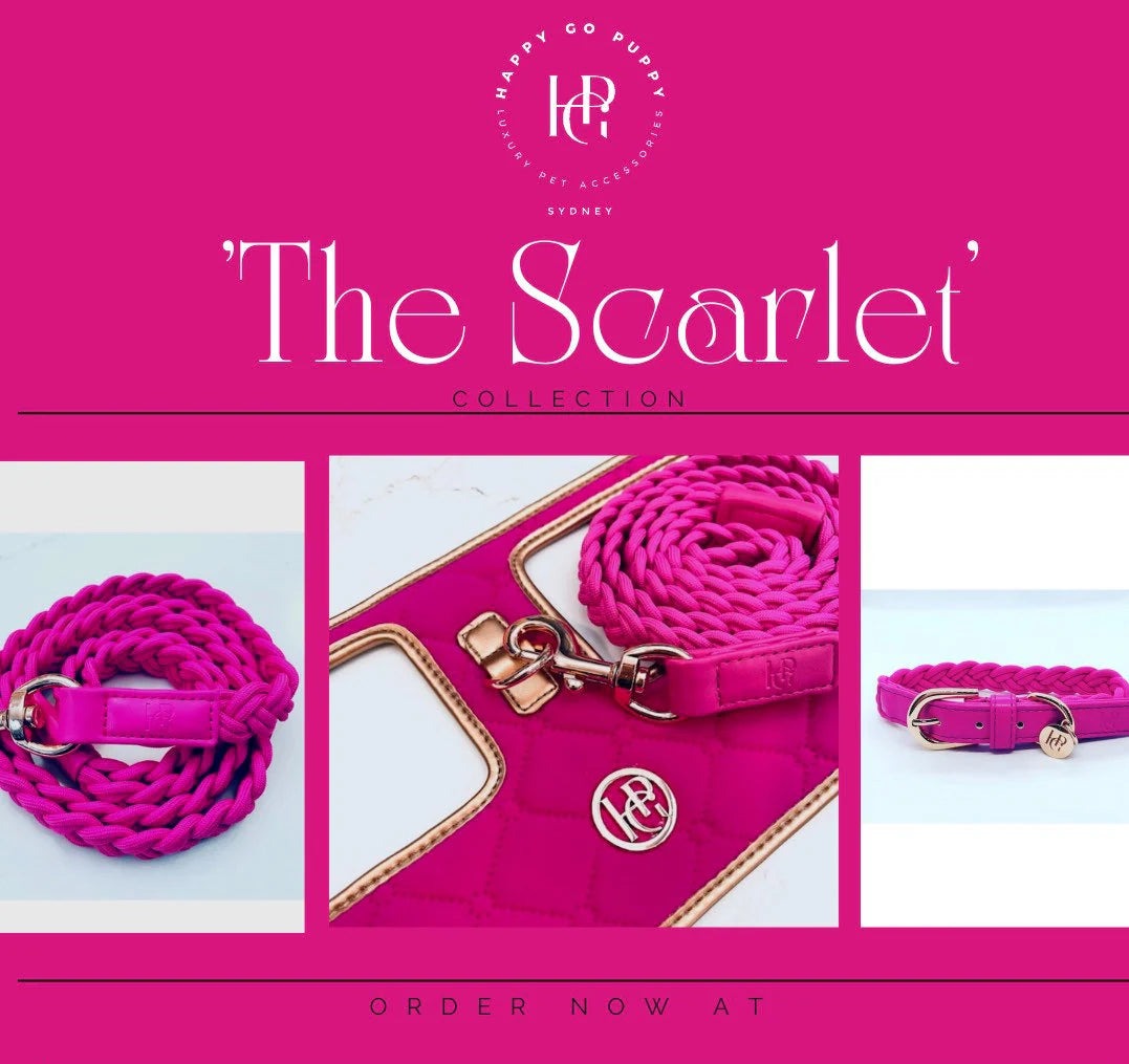 Dog/Cat Harness/Collar/Leash/Waste Bag ~ Lipstick Pink Collection (Sold Individually)