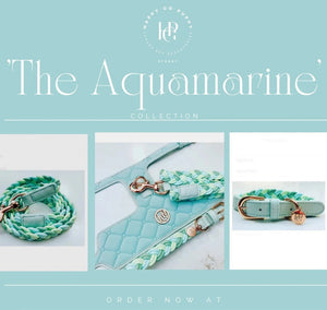 Dog/Cat Harness/Collar/Leash/Waste Bag ~ Aquamarine Collection - (Sold Individually)