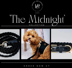 Dog/Cat Harness/Collar/Leash/Waste Bag ~ Black Midnight Collection - (Individually Sold)