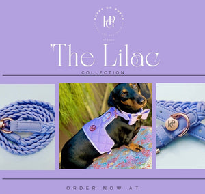 Dog/Cat Harness/Collar/Leash/Waste Bag ~ Lilac Collection - (Sold Individually)