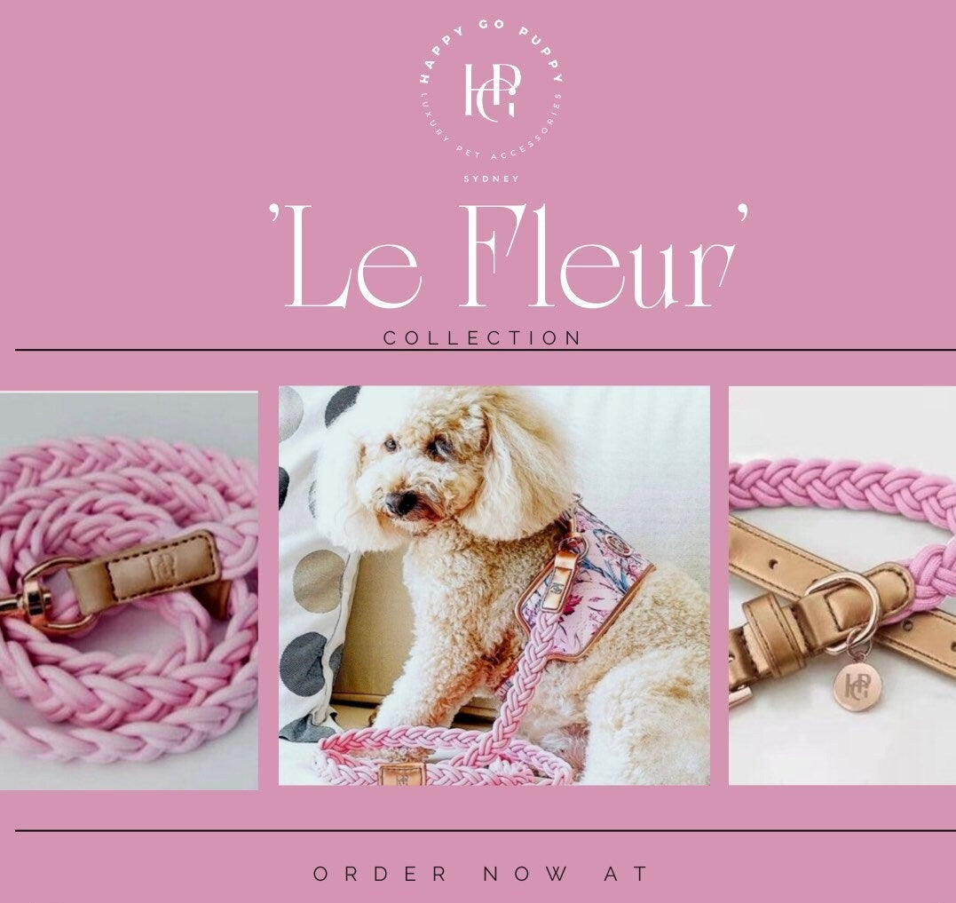 Dog/Cat Harness/Collar/Leash/Waste Bag ~ La Fleur Collection - (Sold Individually)