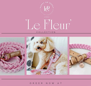 Dog/Cat Harness/Collar/Leash/Waste Bag ~ La Fleur Collection - (Sold Individually)