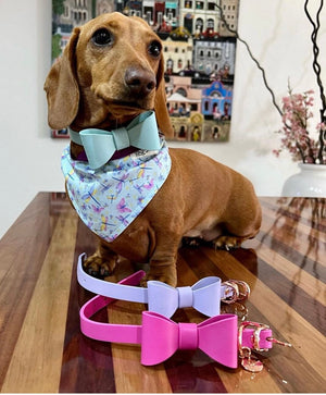 Leather Bow Collar/Lead - Lilac