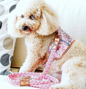 Dog/Cat Harness/Collar/Leash/Waste Bag ~ La Fleur Collection - (Sold Individually)