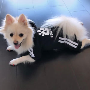 Dog Hoodie Security Dog Clothes 4 Legs Dog Jumpsuit Sweatshirt Hoodies Soft & Warm Dog Outfit Pullover Dog Winter Clothes, Dog Sweater for Small Medium Large Dogs Cats (Black, Small)