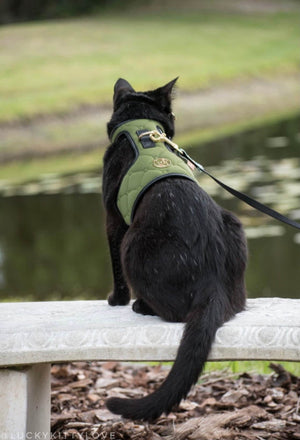 Dog/Cat Harness/Collar/Leash/Waste Bag ~ Kahki Collection - (Sold Individually)