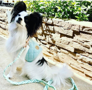 Dog/Cat Harness/Collar/Leash/Waste Bag ~ Aquamarine Collection - (Sold Individually)