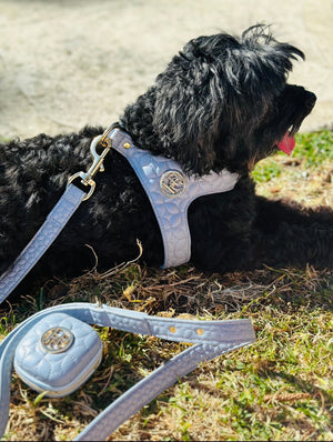 Step in Dog/Harness - Blue - Novalie ‘Mist’