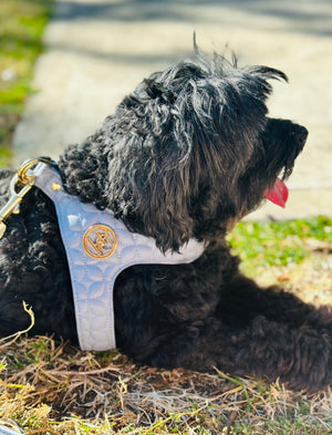 Step in Dog/Harness - Blue - Novalie ‘Mist’