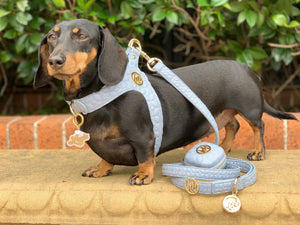 Step in Dog/Harness - Blue - Novalie ‘Mist’