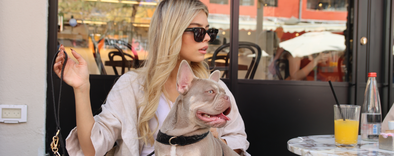 Chic accessories for fashionable French Bulldogs and their owners