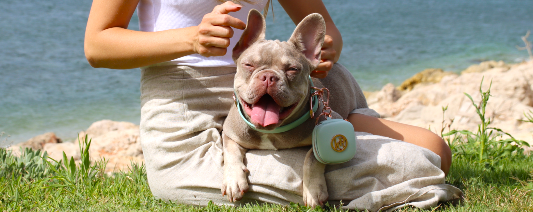 Unique French home items designed for French Bulldog enthusiasts